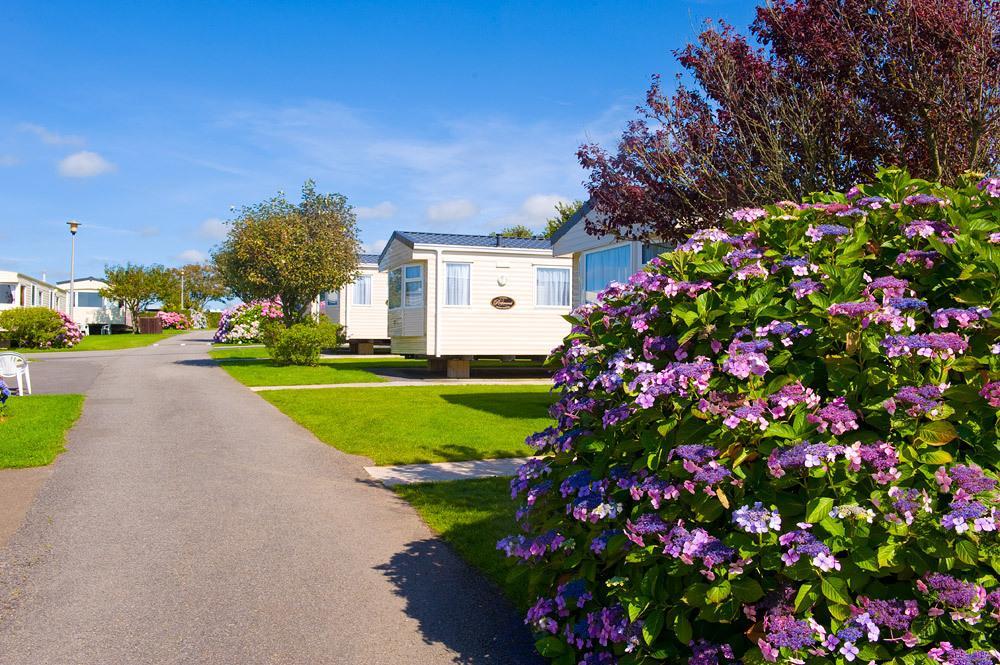 Wooda Farm Holidays Bude Szoba fotó