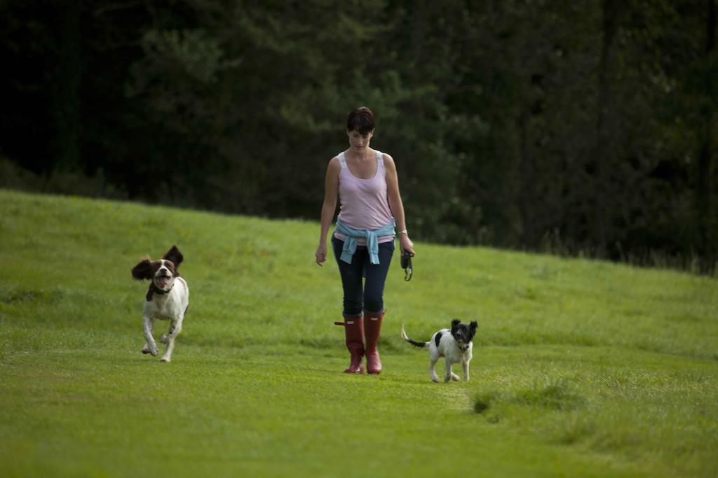 Wooda Farm Holidays Bude Kültér fotó