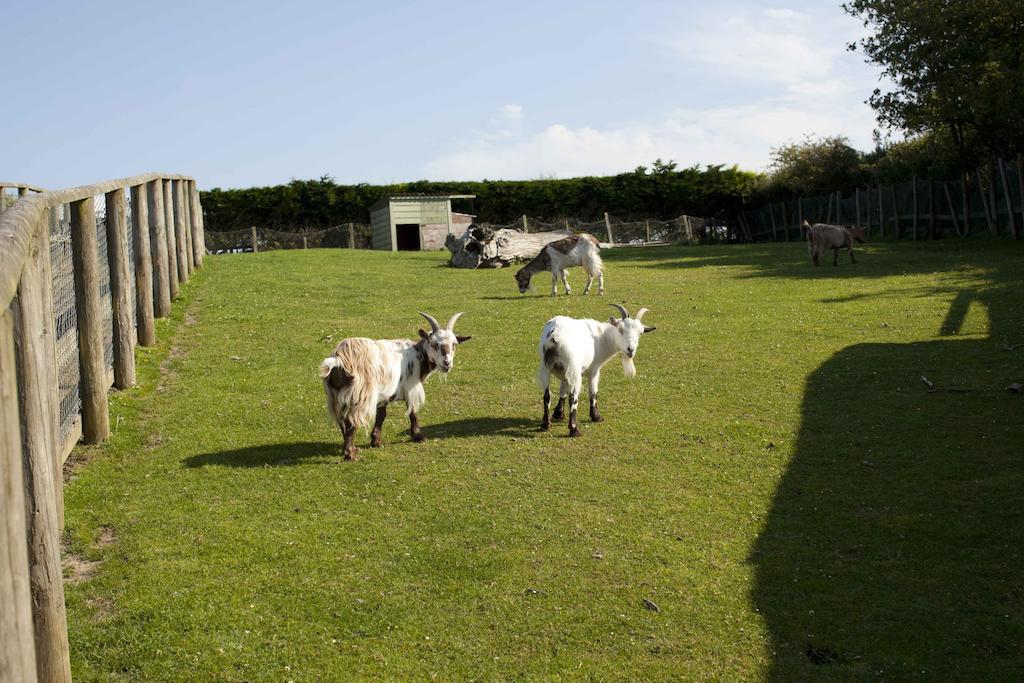Wooda Farm Holidays Bude Kültér fotó